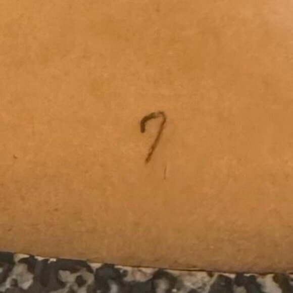 Sam Edelman Gretchen Gray Silver Ankle Wrap Tassel Gladiator Flat Sandal Size 7 - Picture 17 of 17